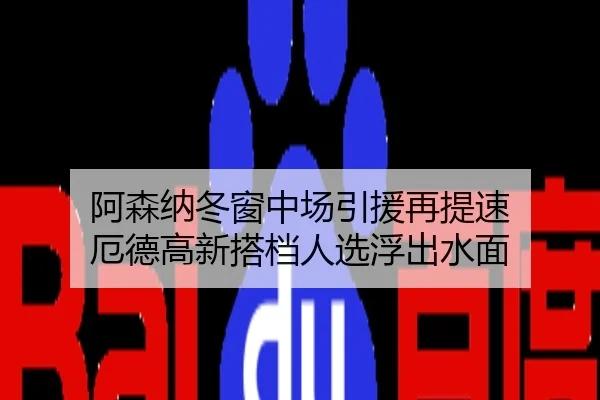 阿森纳冬窗中场引援再提速 厄德高新搭档人选浮出水面